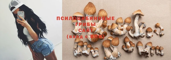 бошки Балахна