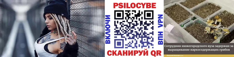 blacksprut маркетплейс что такое Мостовской Псилоцибиновые грибы Psilocybe